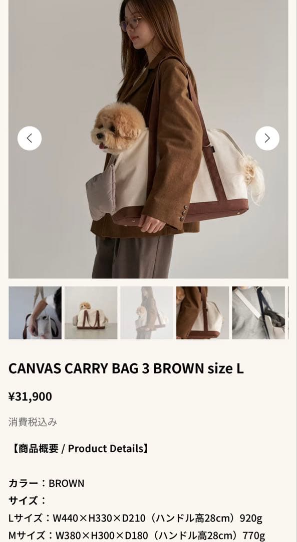 キャリーバッグ・スリング small stuff CANVAS CARRY BAG 3