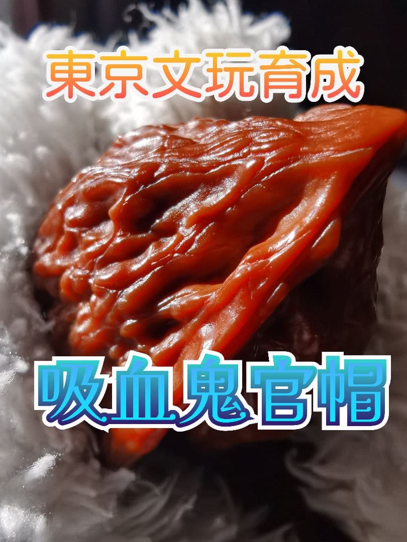 【東京文玩育成】文玩核桃 原樹吸血鬼官帽 32x31x43mm