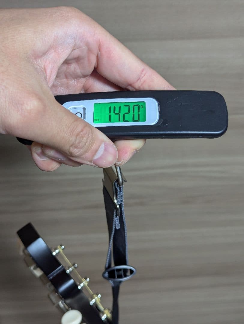 Recording King RPS-9-TS 自身ワンオーナー品 トップ単板