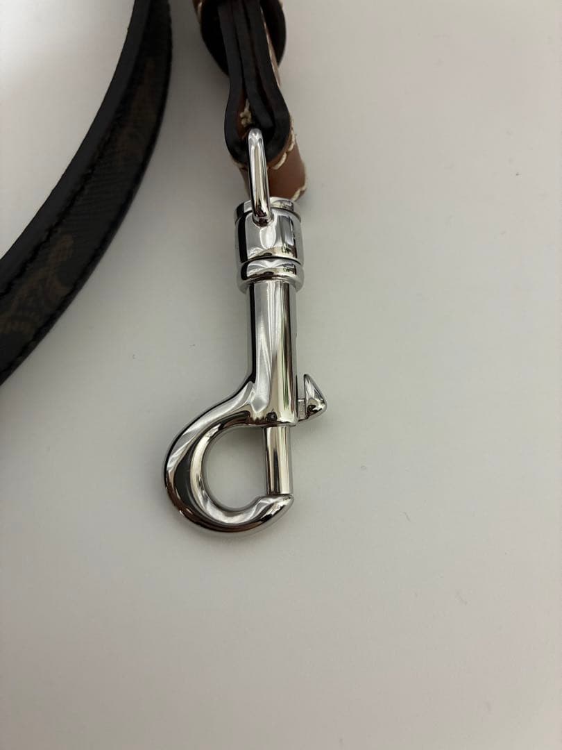 【極美品】セリーヌ　トリオンフ　首輪　リードトップセット　ドッグカラー　現行