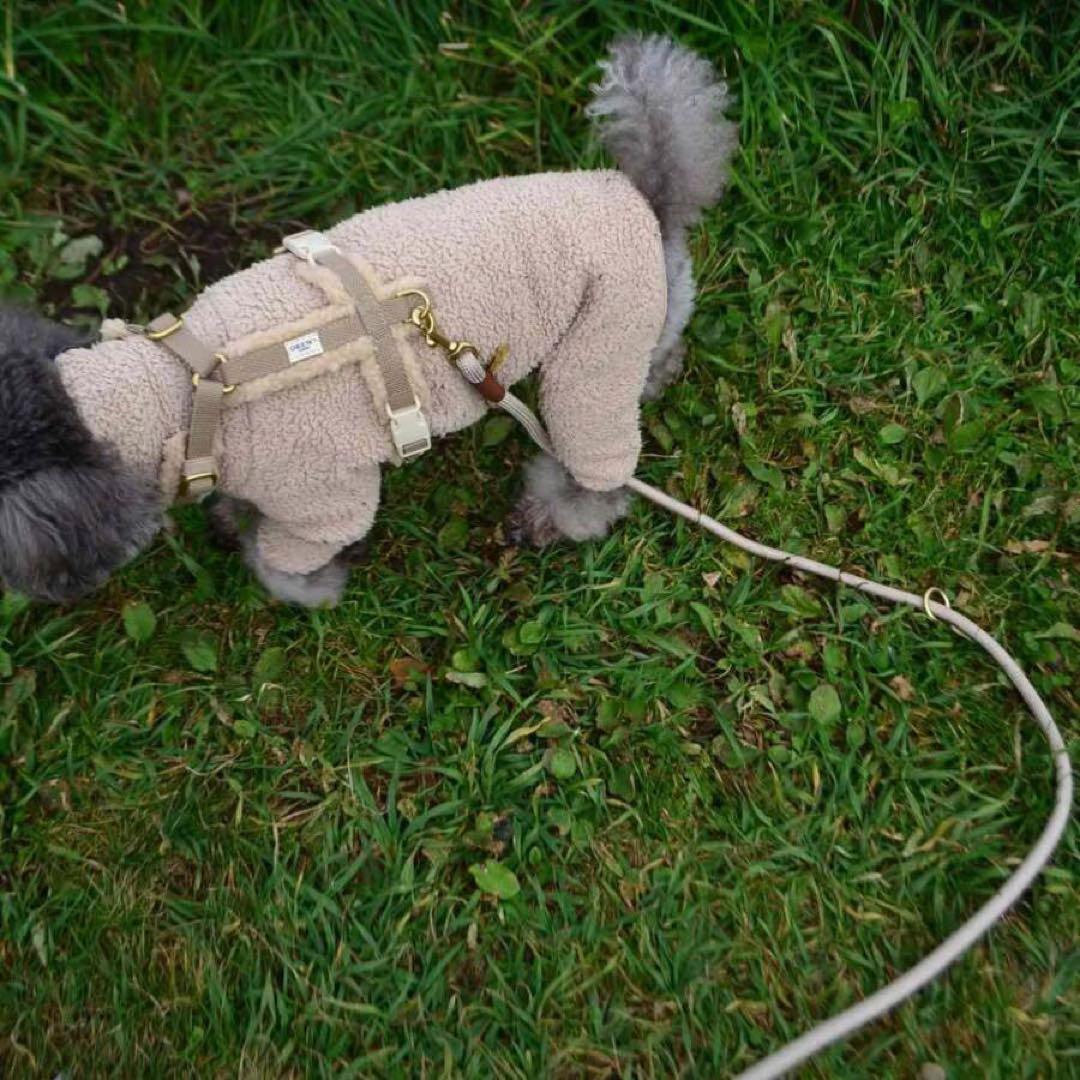 DREW's テディー ハーネス グレージュ S おしゃれ 犬 ペット 散歩