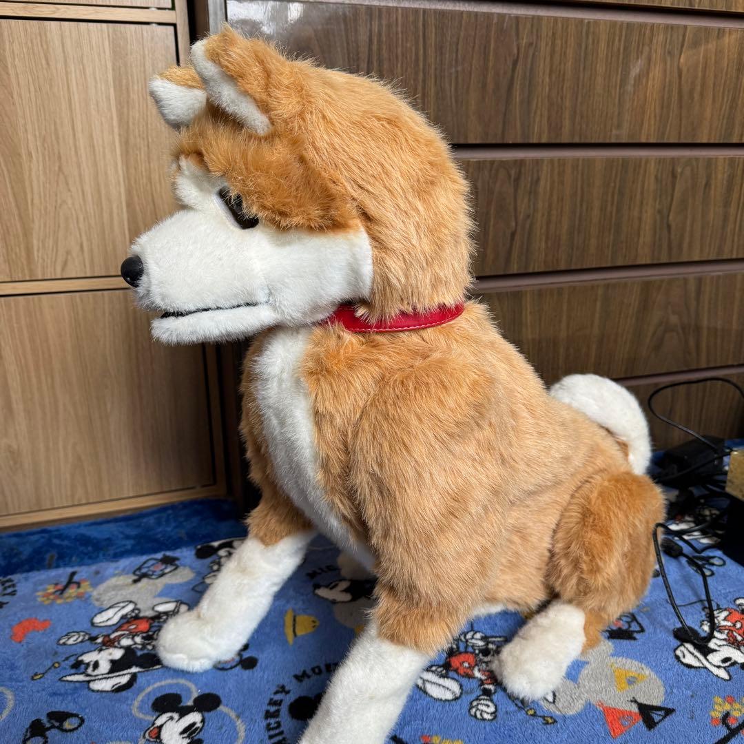 電動ペット ペットロボット ココチモ 愛犬しばちゃん 等身大 柴犬