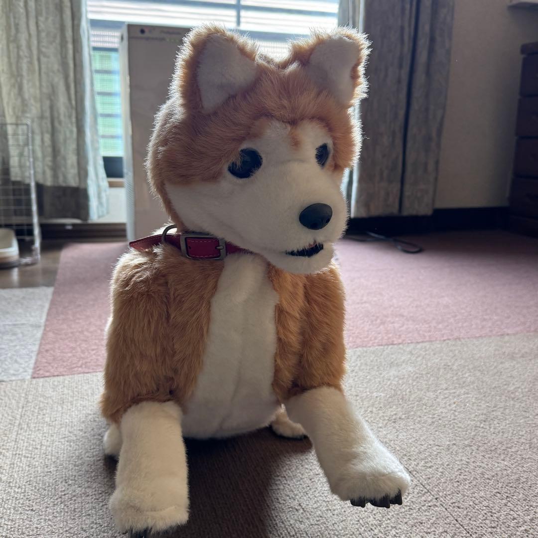 電動ペット ペットロボット ココチモ 愛犬しばちゃん 等身大 柴犬