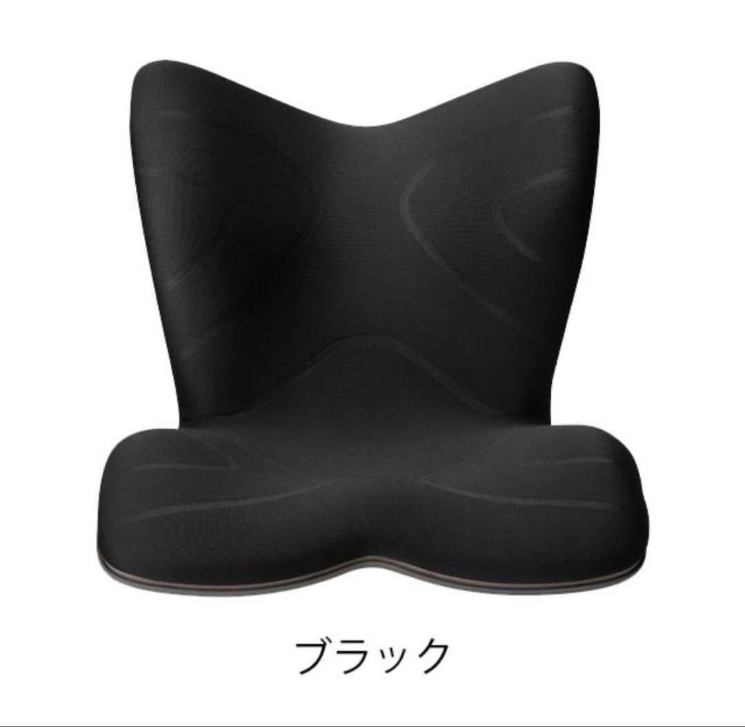 【新品】正規販売　スタイルプレミアム Style PREMIUM 骨盤クッション