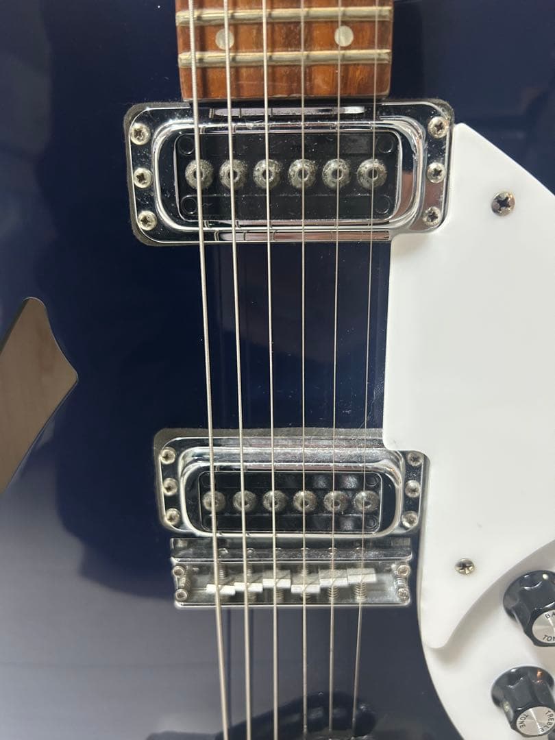 【はとぽぽ】リッケンバッカー330