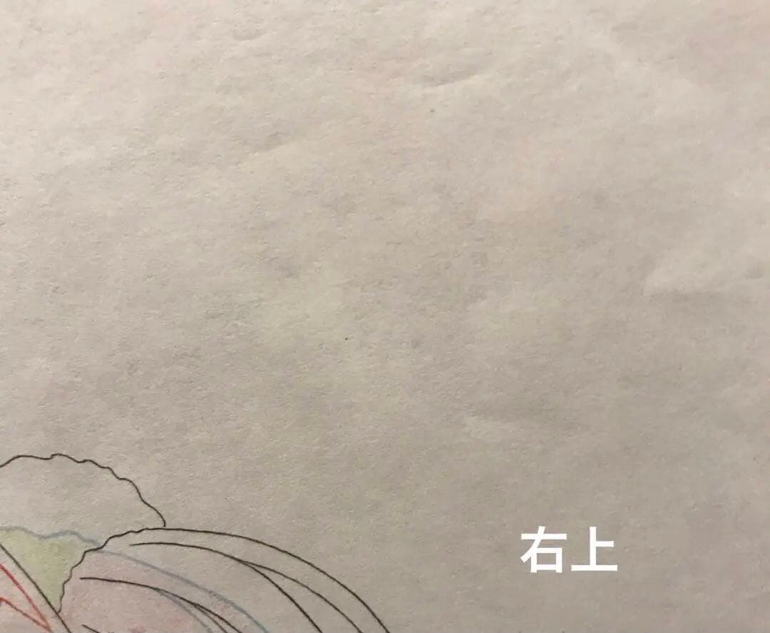 h*a様 カードキャプターさくら　動画