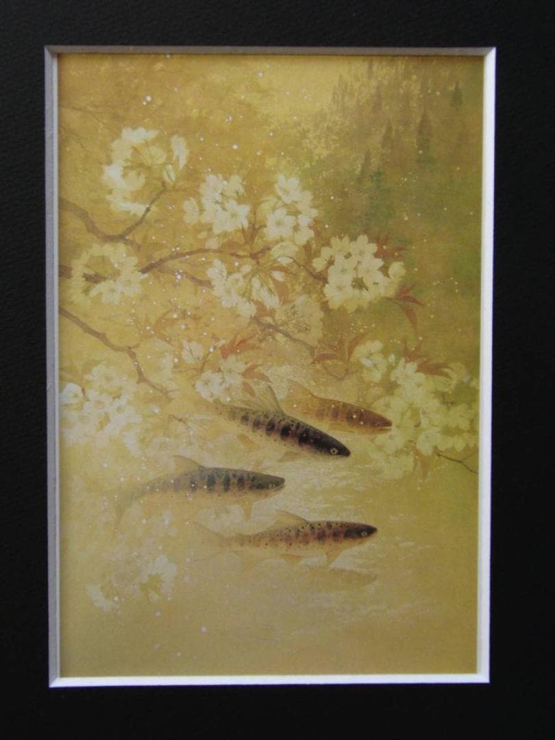 平子真理、【渓魚四季図　春】、希少画集画より、状態良好