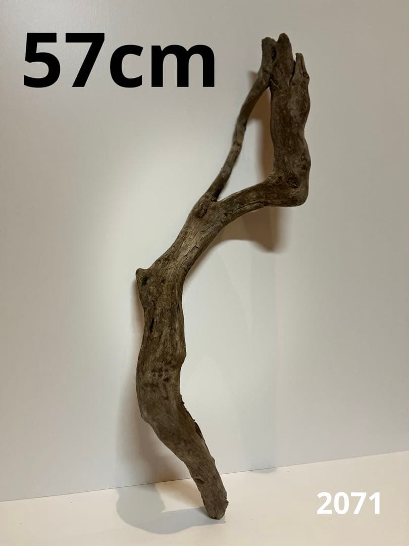 yuma爬虫類ケージ工房様 リクエスト 4点 まとめ商品