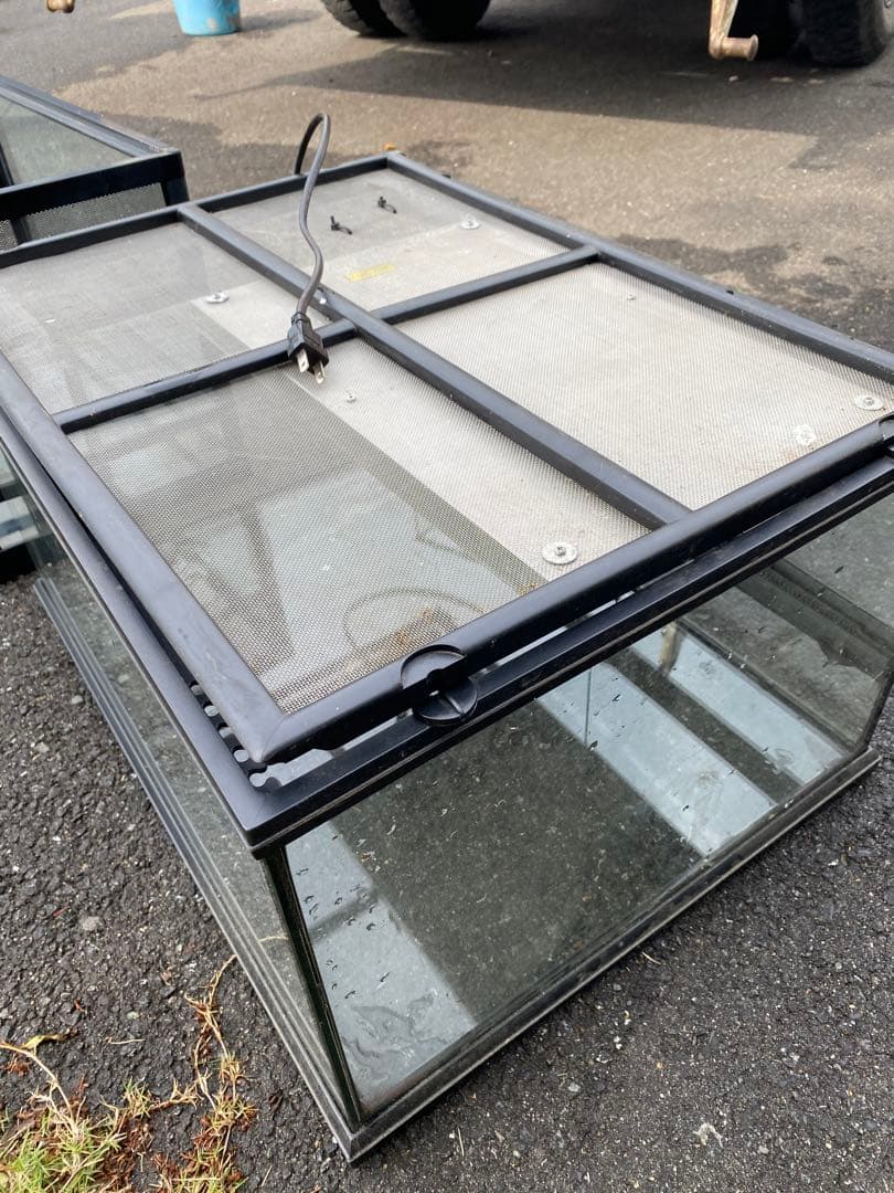 ガラス・プラスチック飼育ケースセット 10个