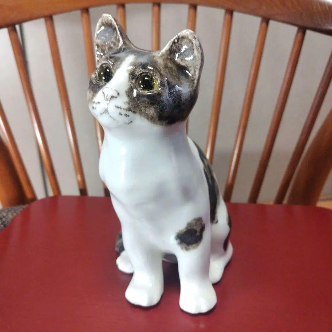 ウィンスタンレイキャット（ケンジントンキャット）ハチワレの子猫、サイズ3