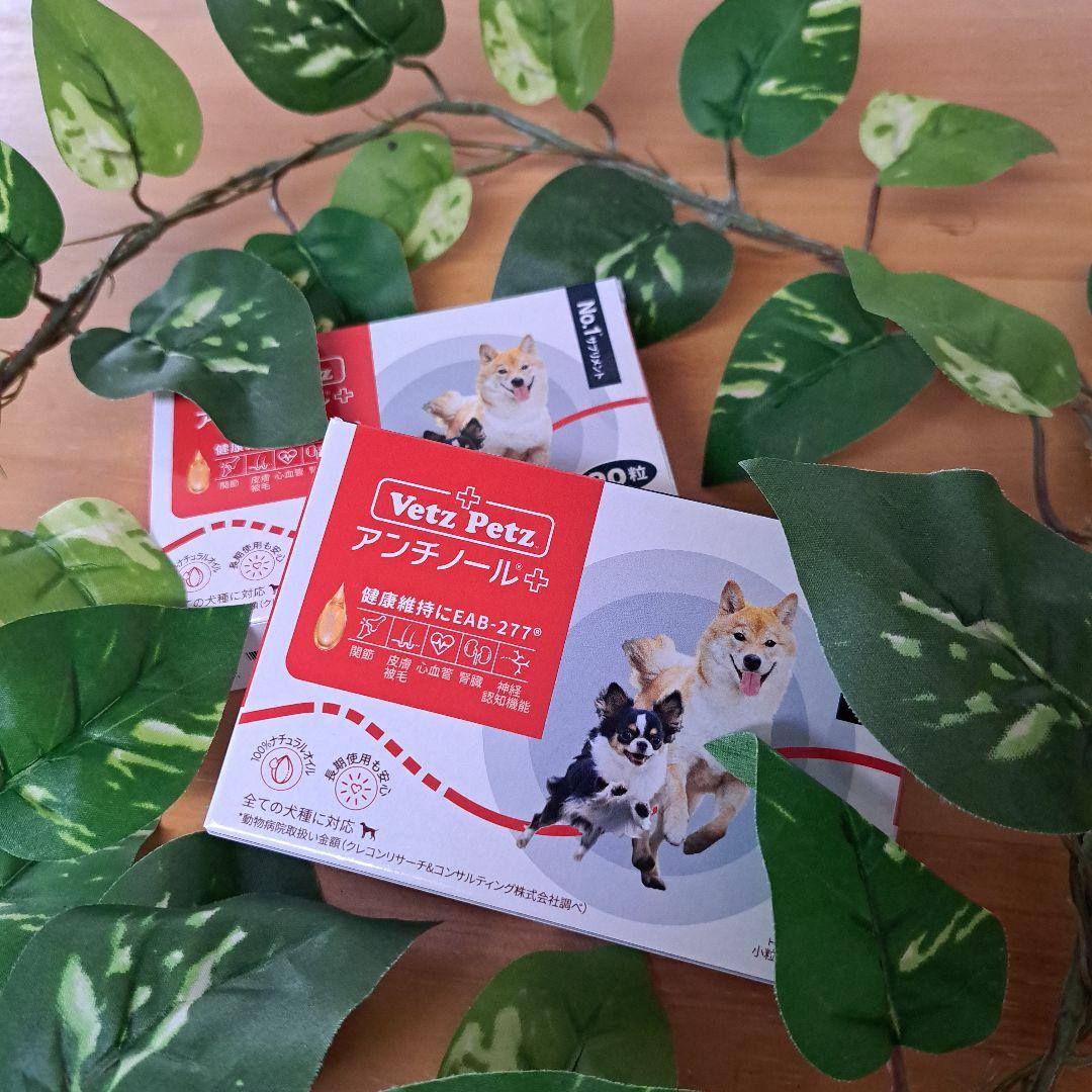 アンチノールプラス 90粒(2箱)