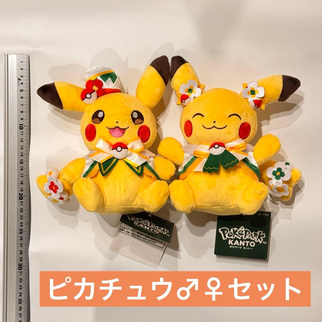 【ピカチュウ オスメスセット】ポケパークカントー
