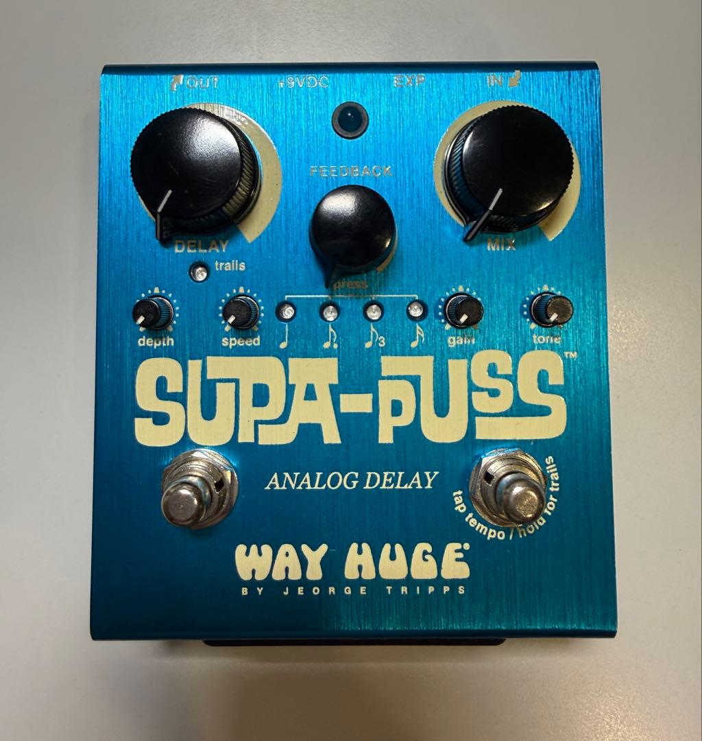 WAY HUGE SUPA PUSS アナログディレイ