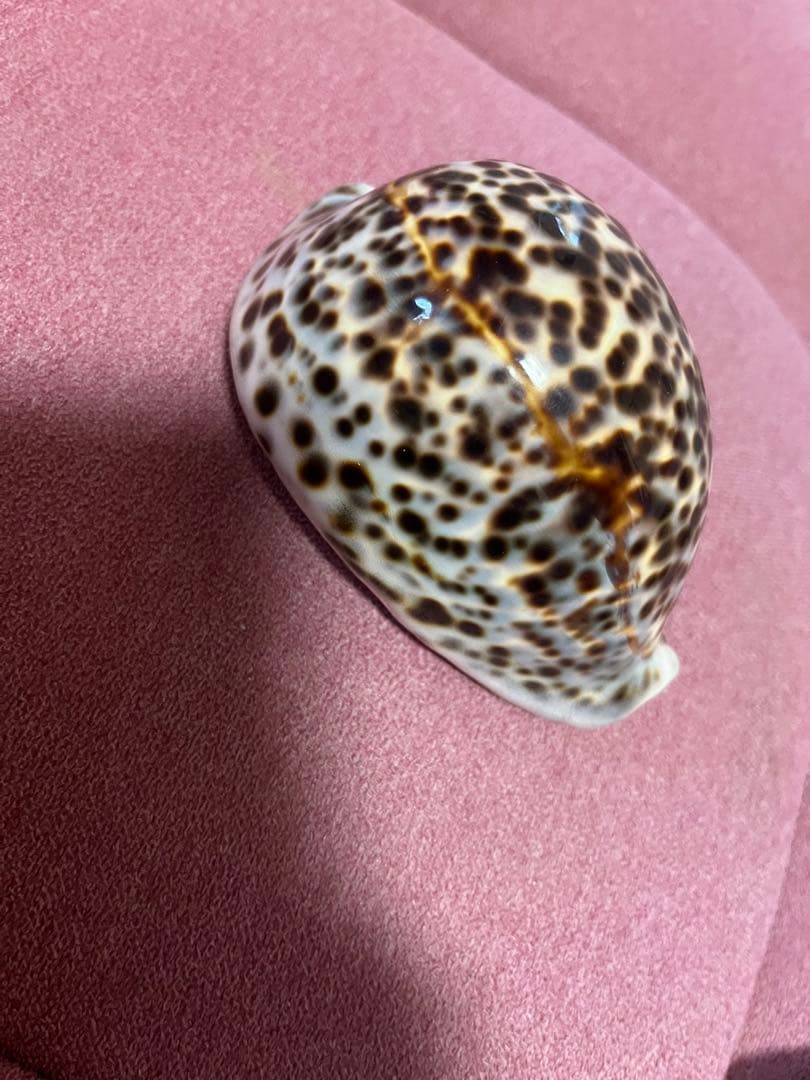 まーくんさん専用