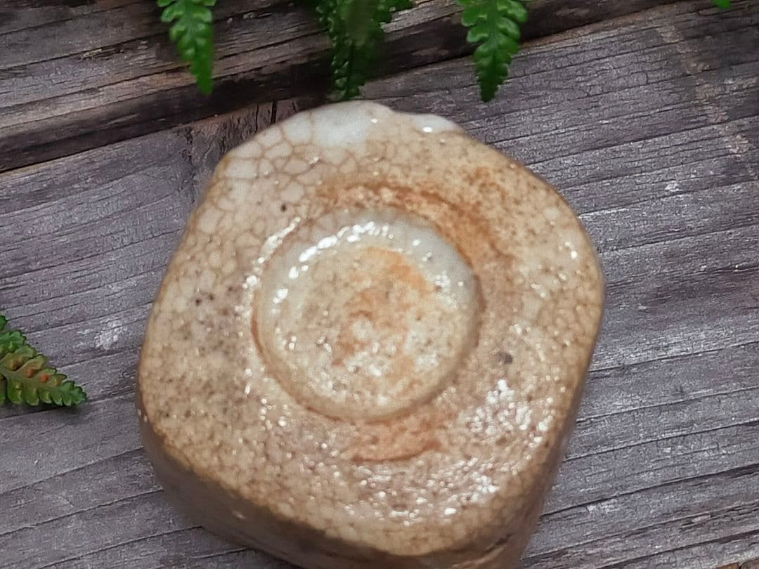 ♥絵志野　ぐい呑み　桐箱付き　⑮　志野　ぐい飲み　骨董品