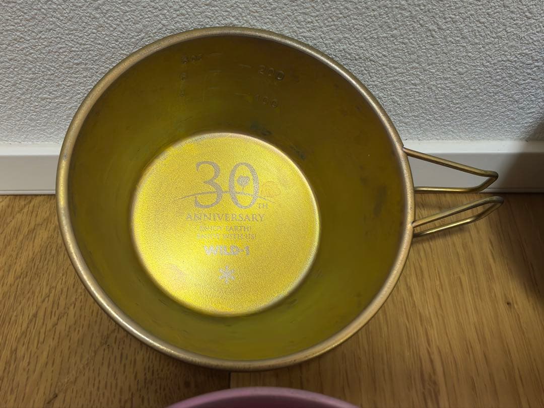 【激レア】スノーピーク　30周年　限定シェラカップ