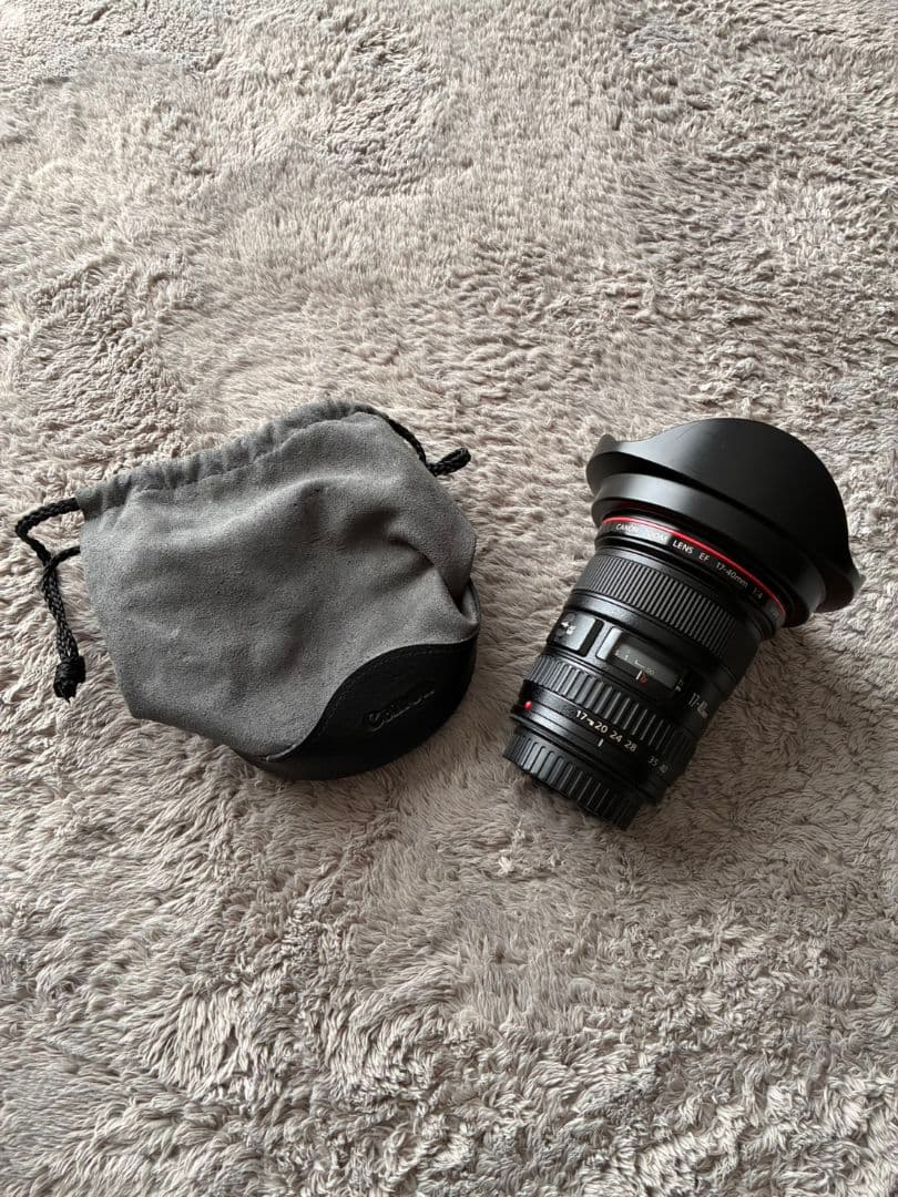 Canon EOS 6DMarkll ＋ レンズ＋付属品 (未使用に近い)