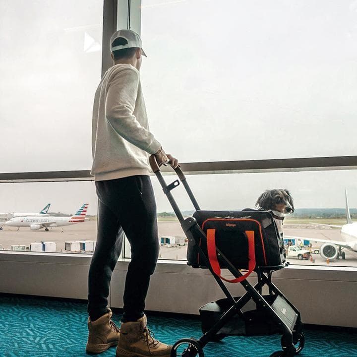 Ibiyaya　ペット用カート　ストローラー　FS2319-B　【平行輸入品】