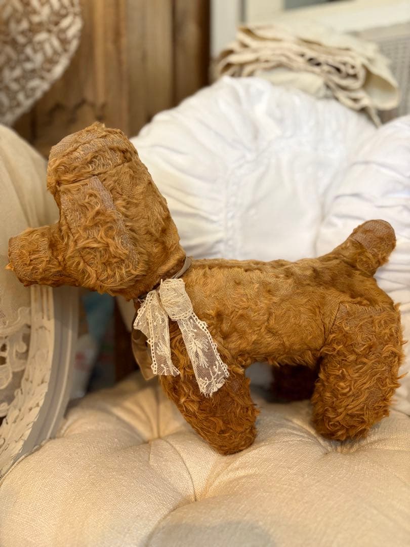 フランスアンティーク 犬 アンティークテディベア アンティークベア