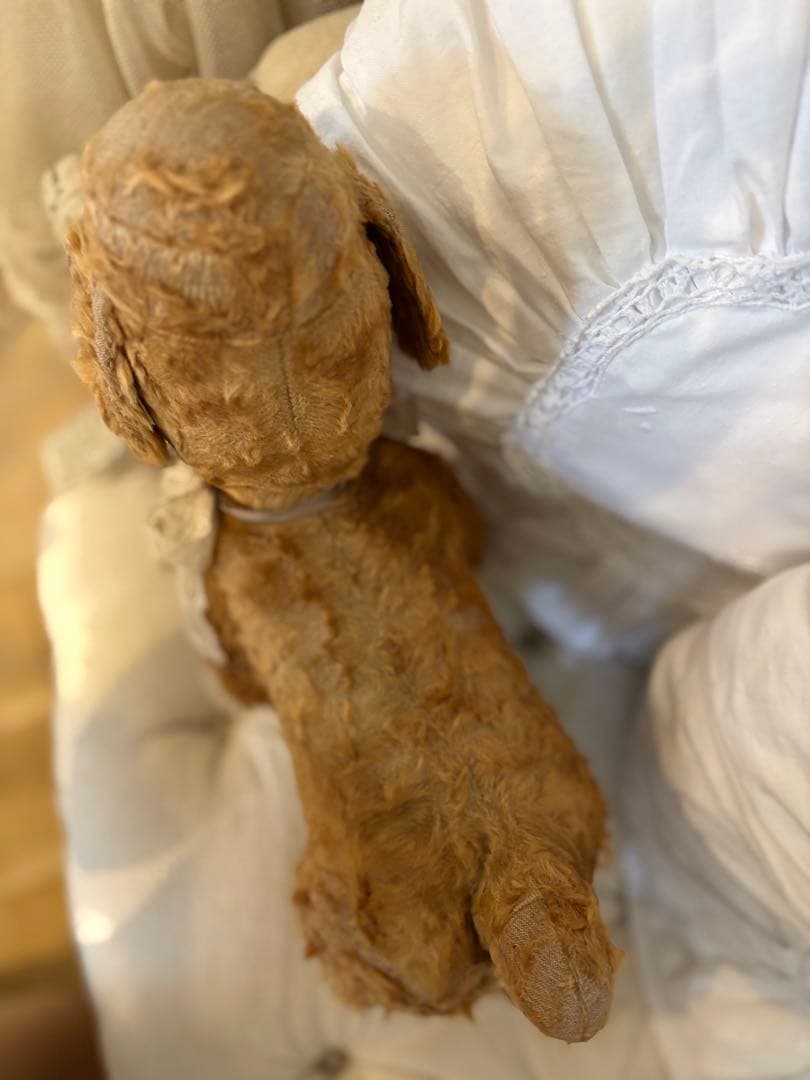 フランスアンティーク 犬 アンティークテディベア アンティークベア