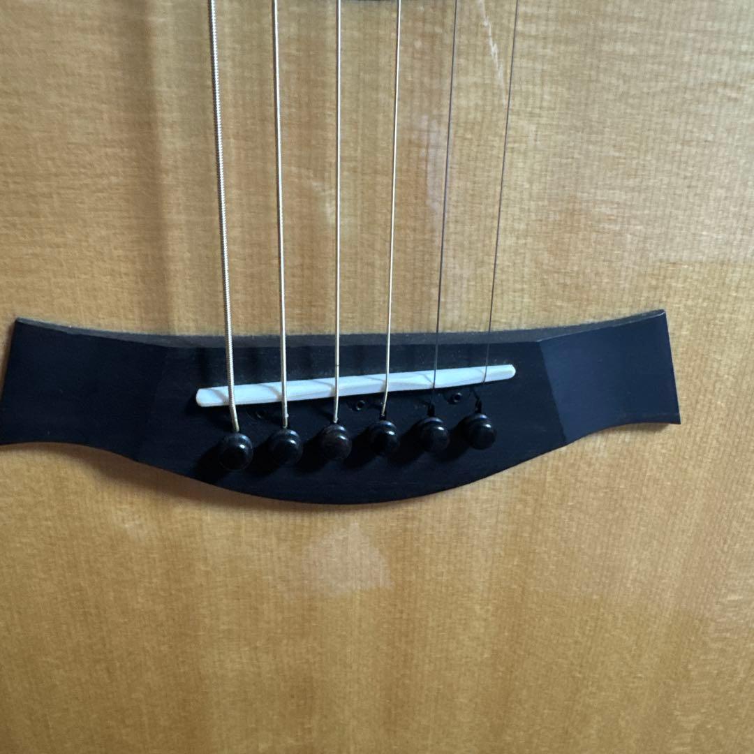 Taylor 614e LTD アコースティックギター ハードケース付き