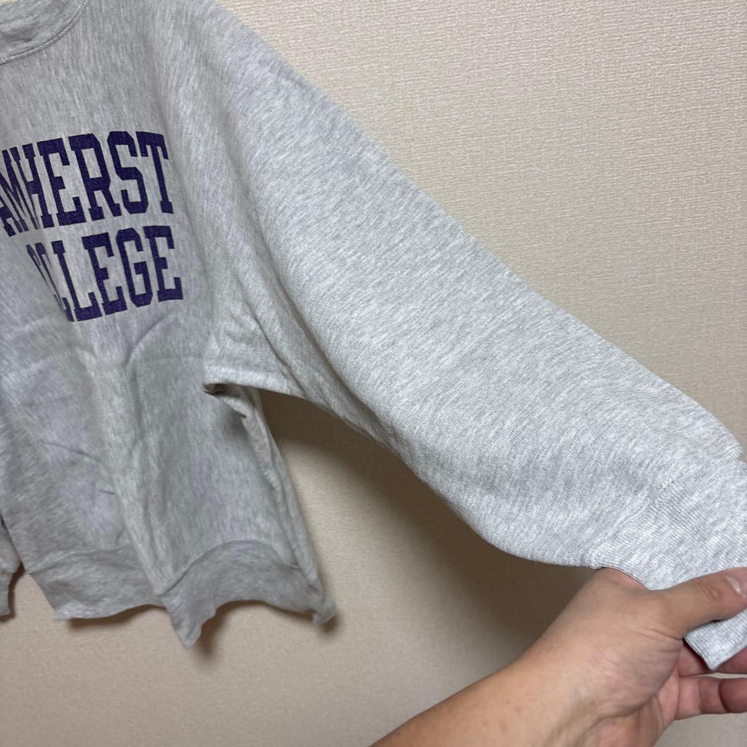 激レア！袖目無しでパープル2段染み込みプリント！！チャンピオン80sトリコタグ！