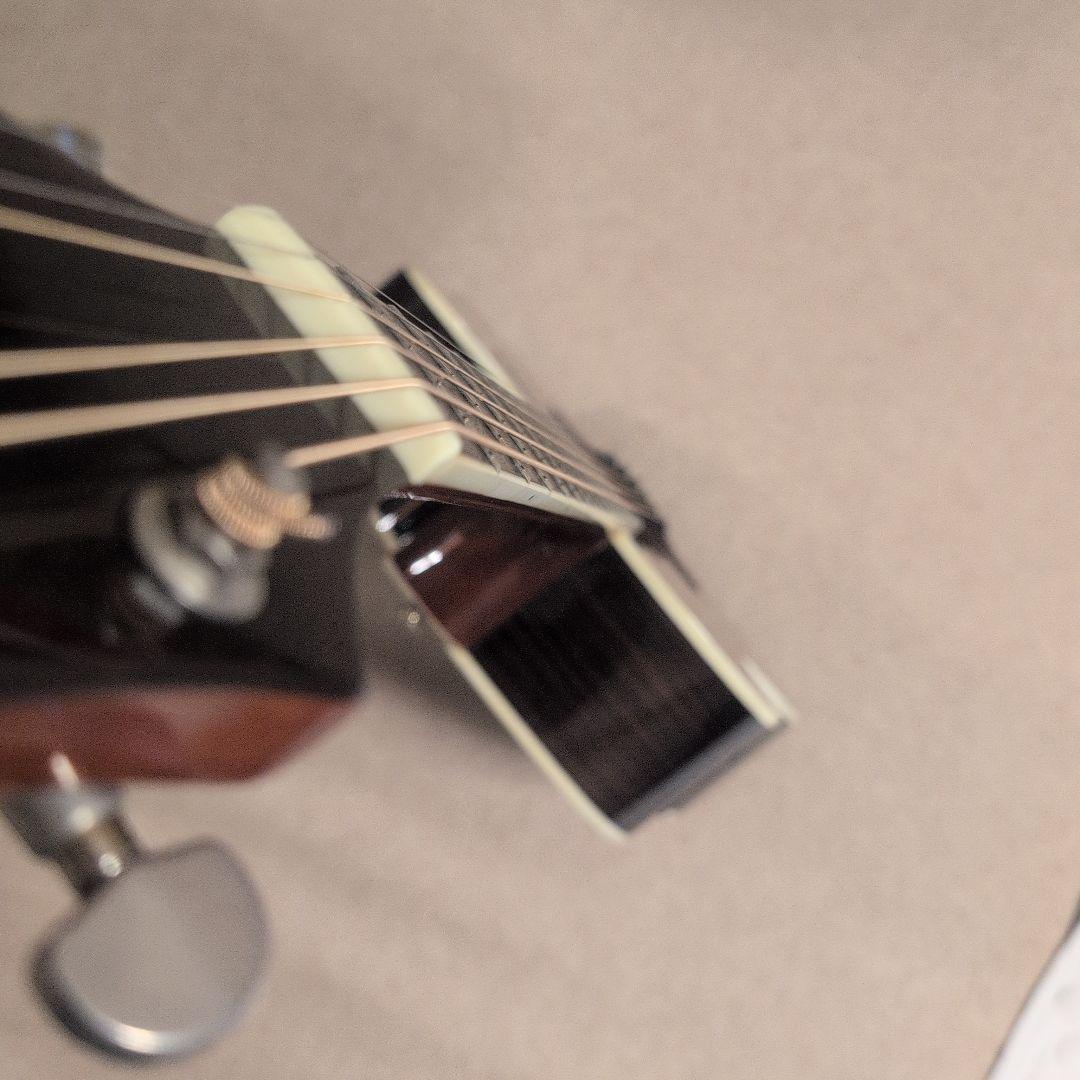 Greg Bennett / OM8CE トップ単板 エレアコ 美品