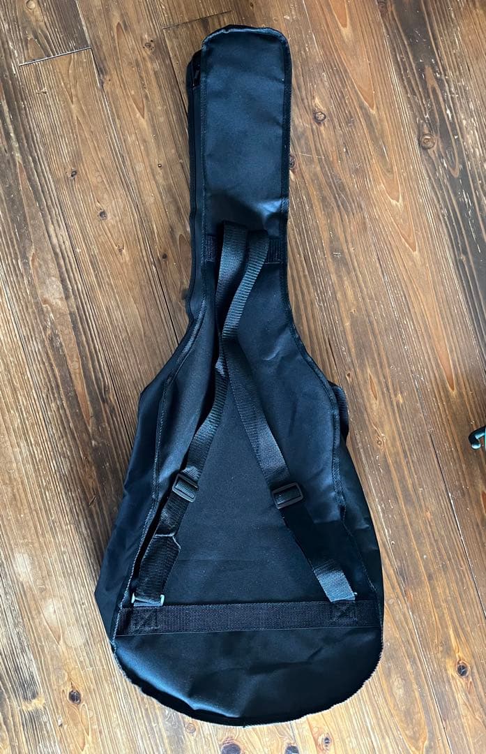 ARIA エレアコ FET-R1