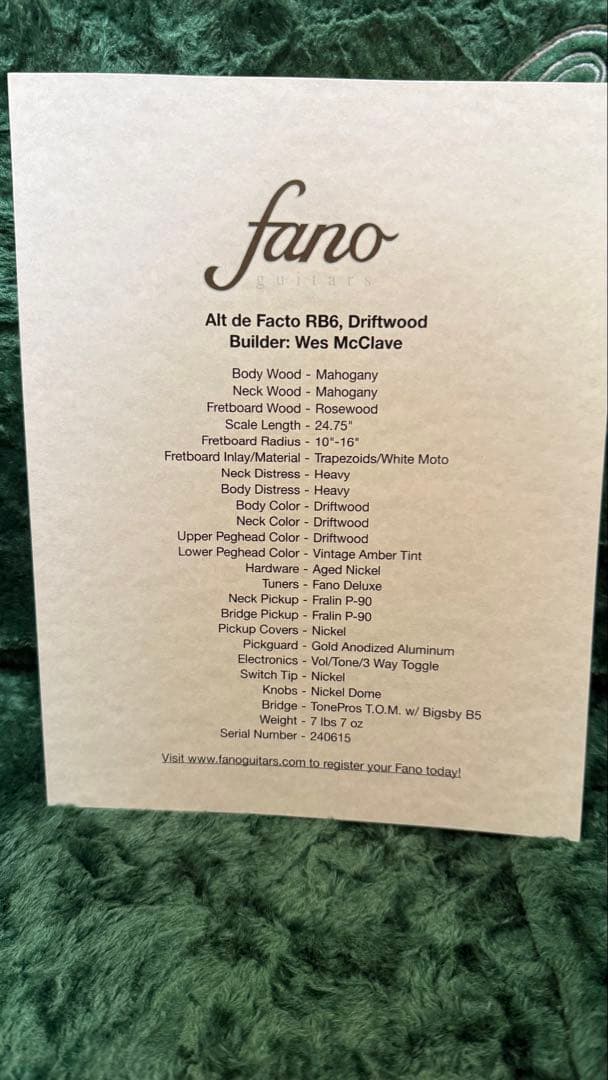 ギター FANO Guitar Alt de Facto