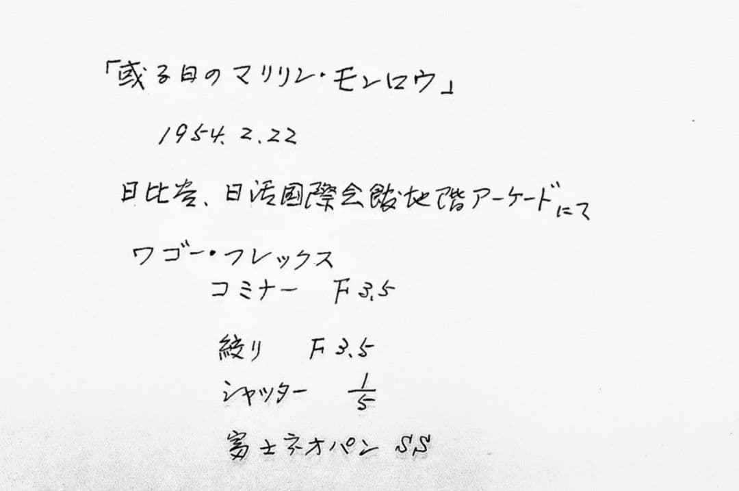 希望価格お知らせください【世界に3枚】マリリン・モンロー生写真'54年ラスト１枚