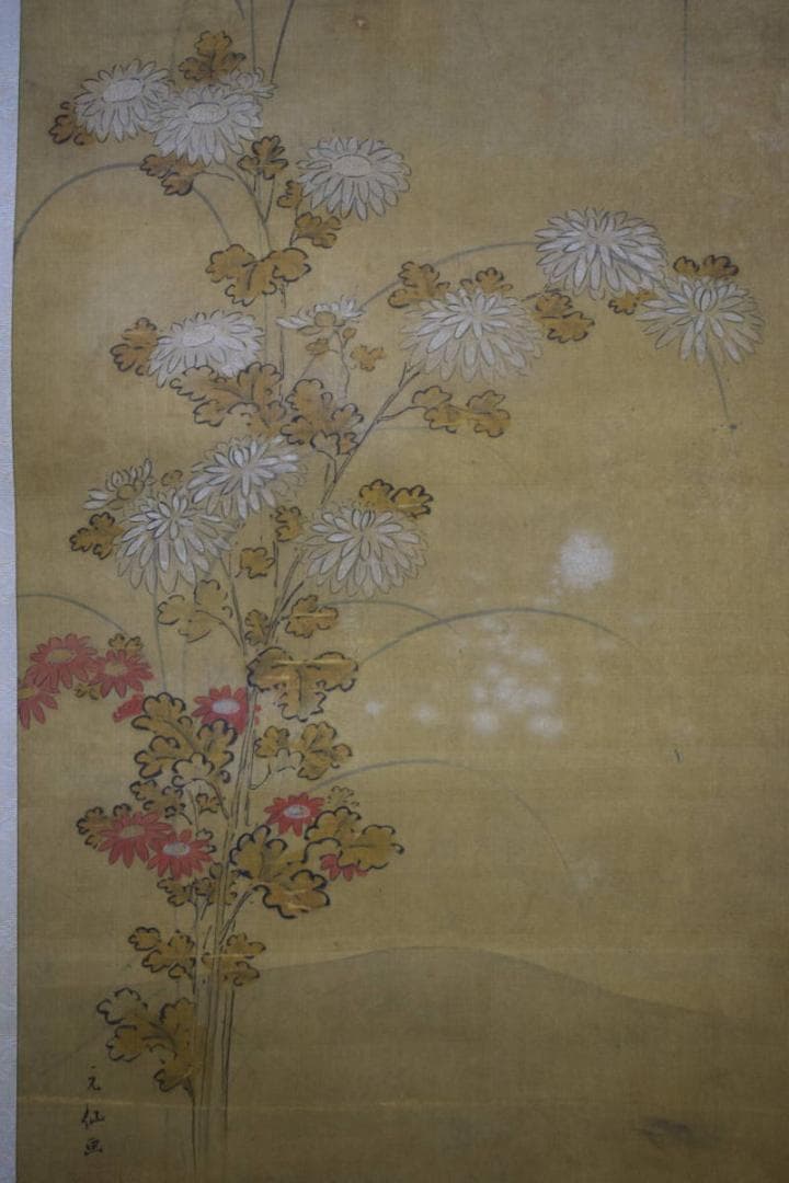 真作/狩野元仙/古画/菊画詞/布袋屋掛軸HF-239