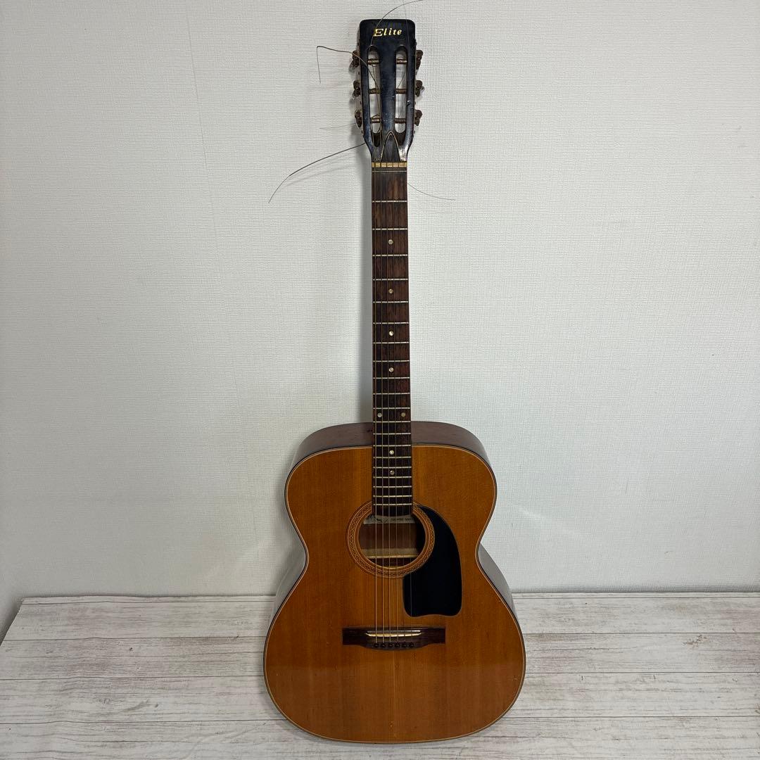 Elite アコースティックギター F1 ハードケース付
