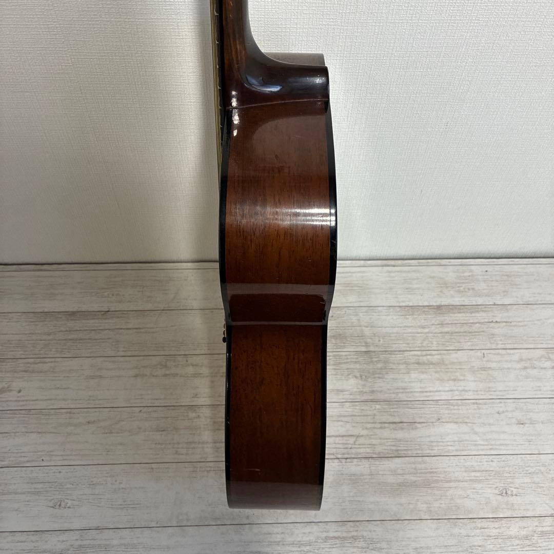 Elite アコースティックギター F1 ハードケース付