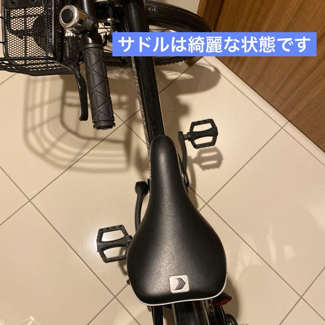 【送料込・匿名配送】ルイガノ J20 20インチ　前カゴ、泥除け、鍵付き