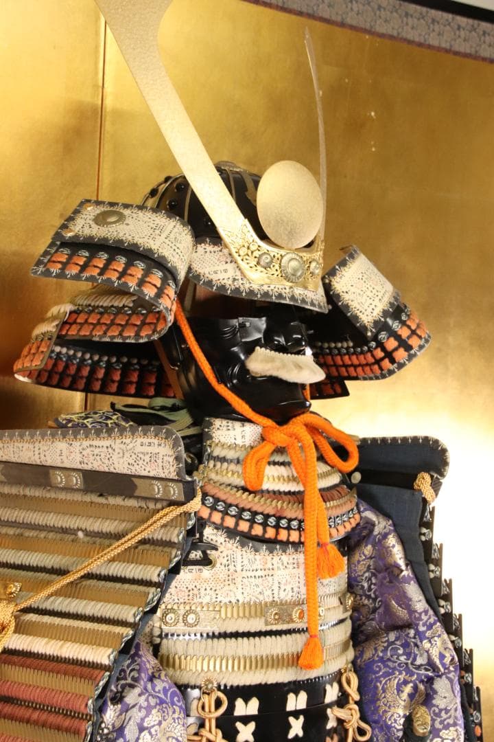 甲冑　具足　黒胴当世素掛 緋縅　鎧櫃付き　等身大　現代鎧　兜　武具　EE002