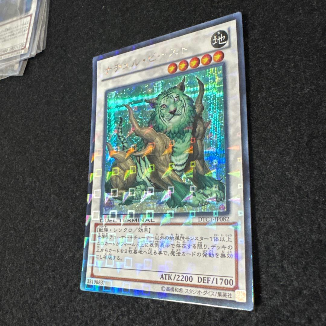 ナチュルビースト DTCシク