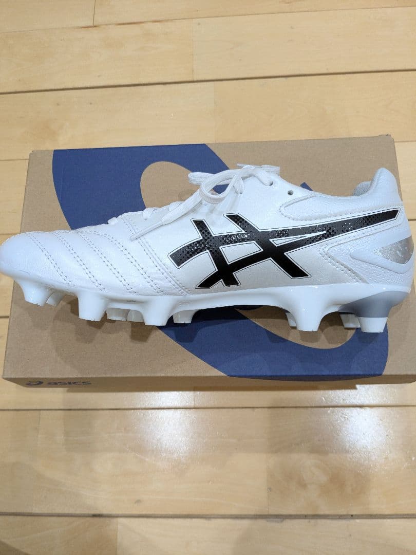 ASICS DS LIGHT PRO スタンダード 25.0cm 新品未使用