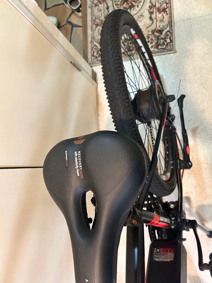 Branjay 電動アシスト自転車 スポーツタイプバッテリー￼10ah X 2