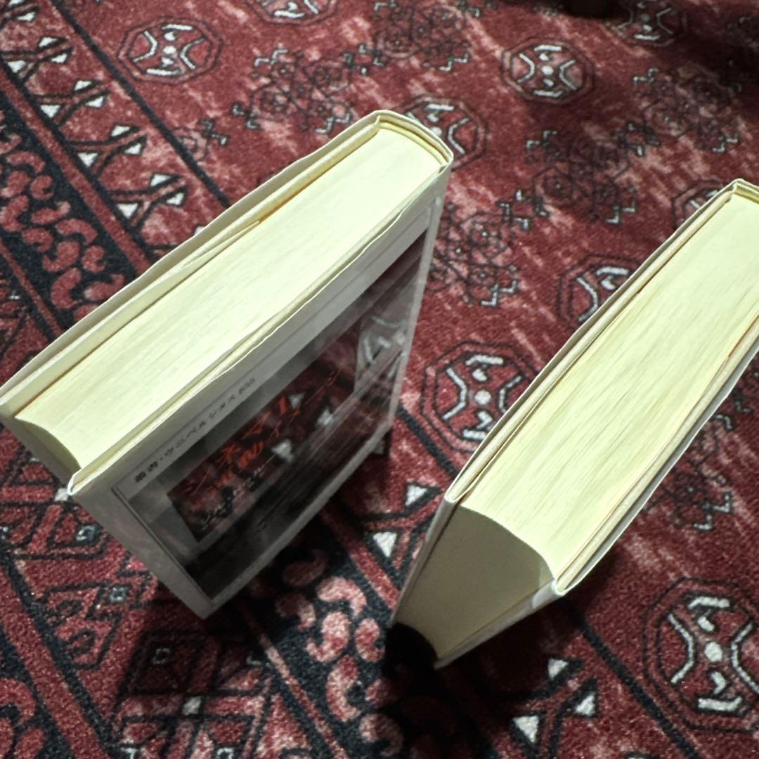 ドゥルーズ 「シネマ 1*運動イメージ」 「シネマ 2*時間イメージ」