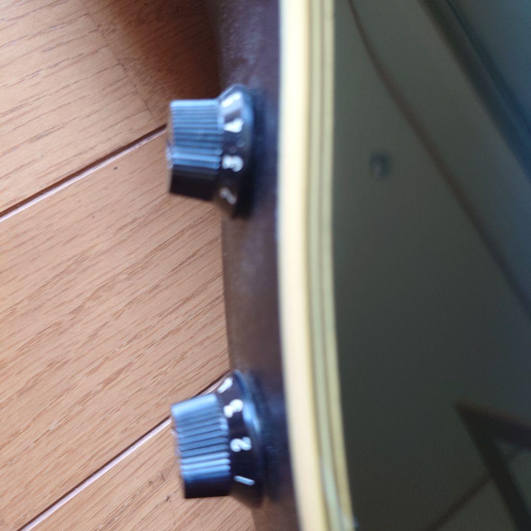 エレアコースティックギター プロマーチン