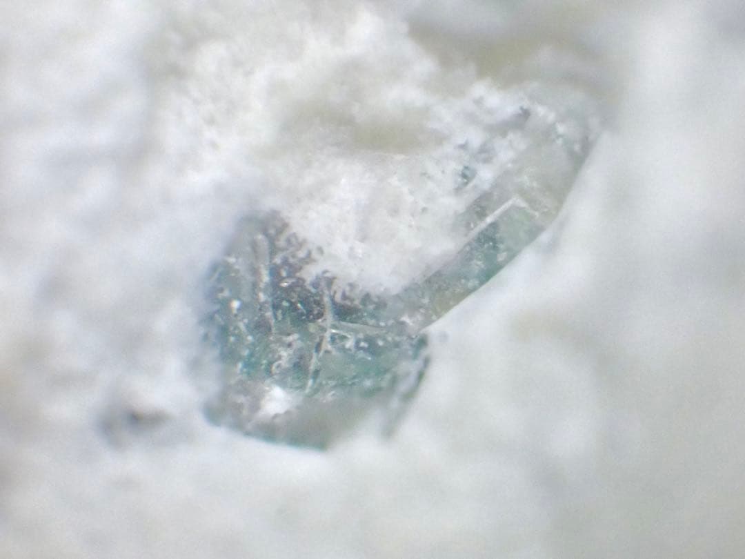 沼野石(TL) 布賀鉱山