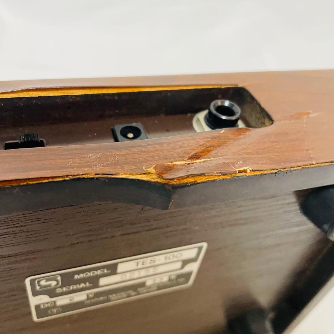 SUZUKI スズキ 和楽 電子大正琴 TES-100