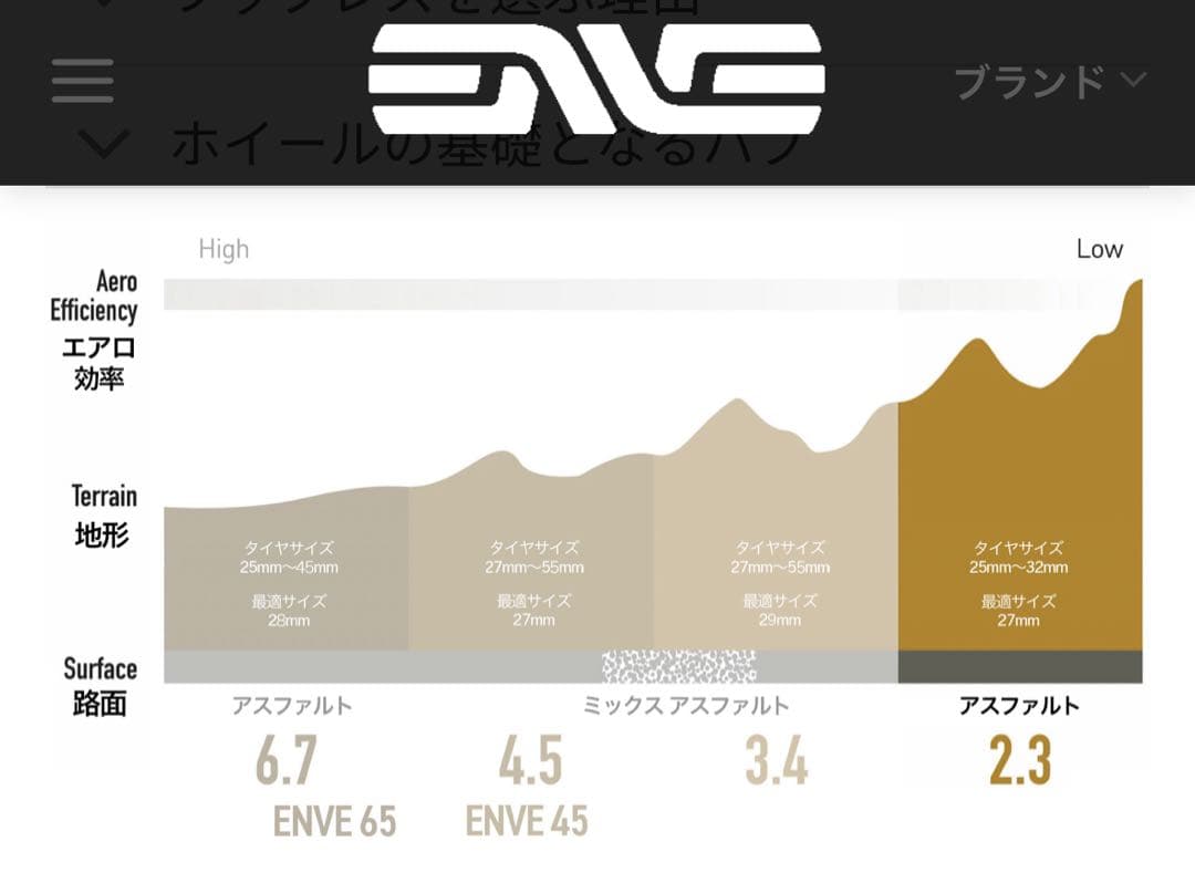 Enve SES2.3 エンヴィ山岳用ホイール