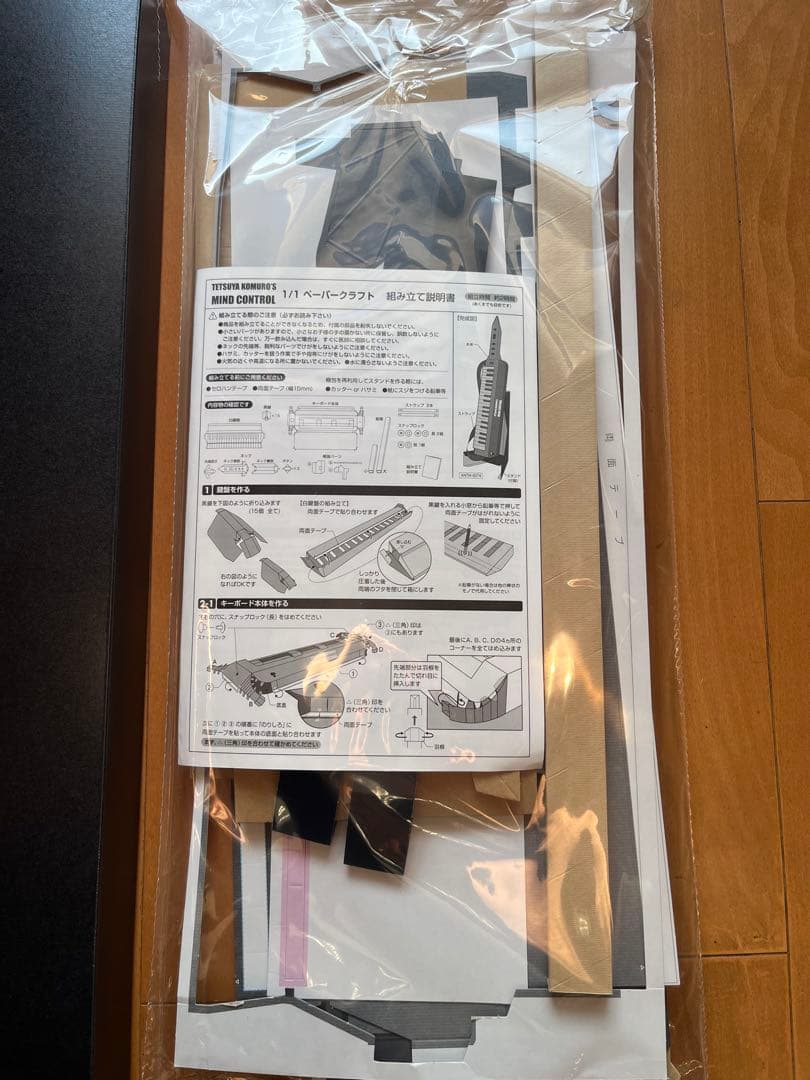 【希少】TM NETWORK小室哲哉MIND CONTROL ペーパークラフト