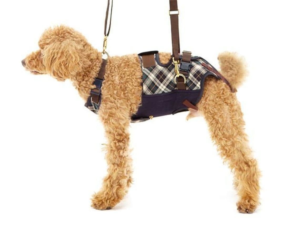 【新品】LaLaWalk 小型犬 ダックス 緑 チェック 歩行補助 ハーネス