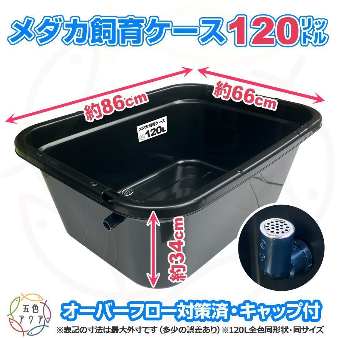 【限定特価】メダカ飼育ケース 120㍑黒x3個 オーバーフロー 金魚飼育 越冬