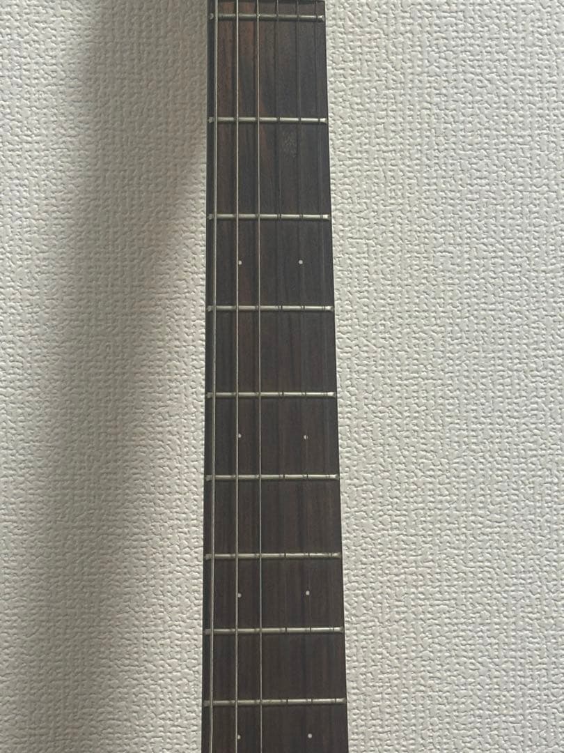 Marine Rider マリンライダー アンプエレキギターアンプ内蔵