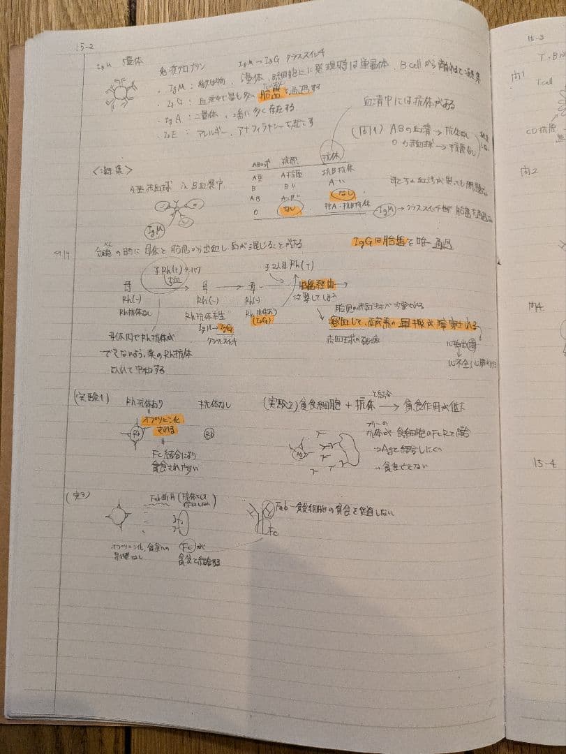 KALS　生命科学合格ノート　板書ノートコピー
