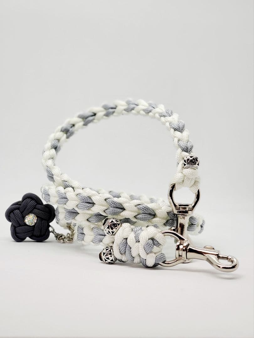 モダンクリアカフェリード