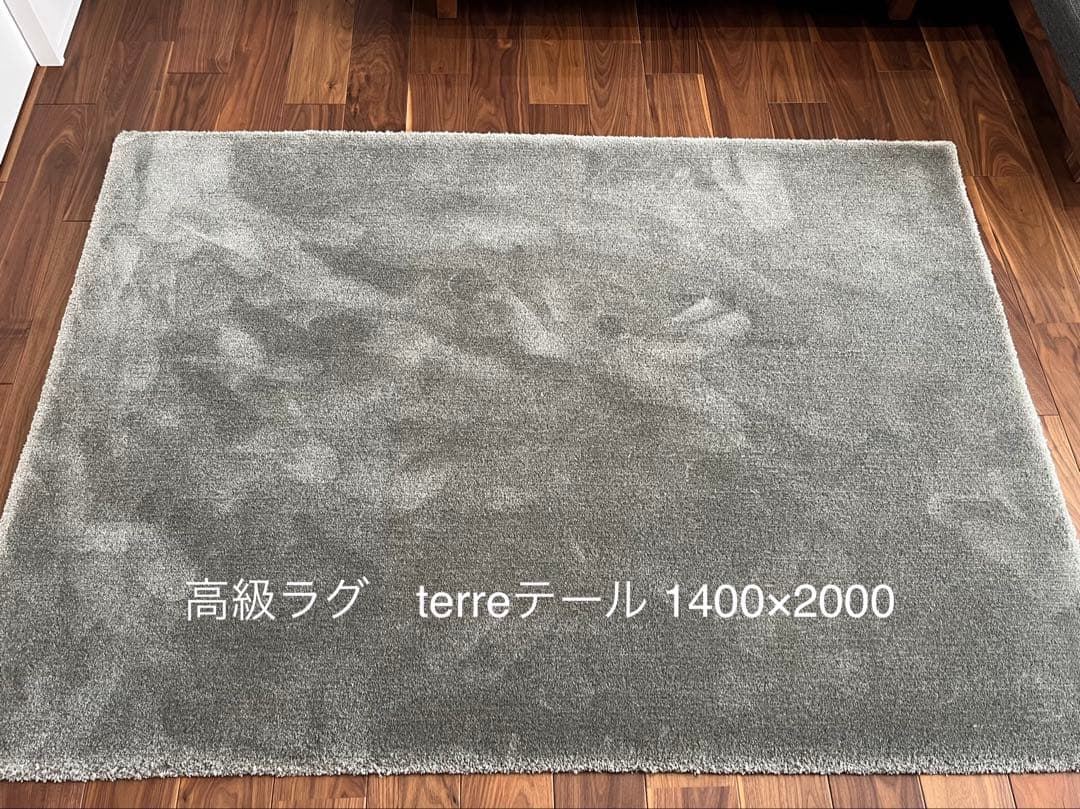 【極美品】高級ラグ terre テール140cm x 200cm